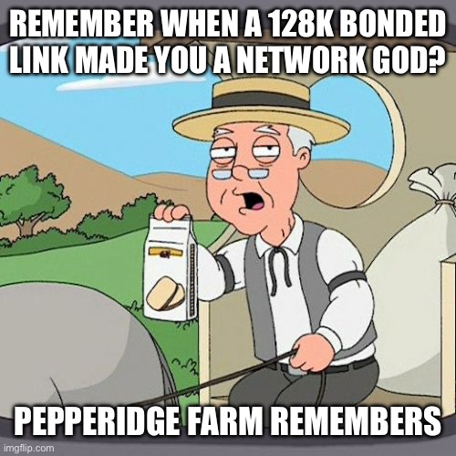 Pepperidge Farm Remembers | REMEMBER WHEN A 128K BONDED LINK MADE YOU A NETWORK GOD? PEPPERIDGE FARM REMEMBERS | image tagged in memes,pepperidge farm remembers | made w/ Imgflip meme maker