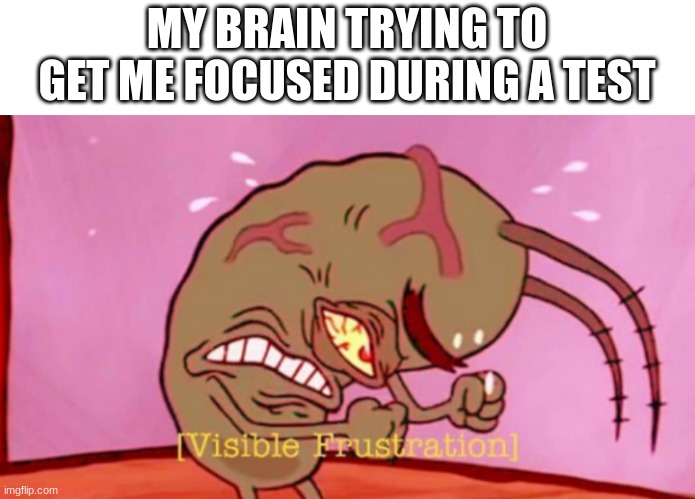 n vj[9 genu[0v j[i0o | MY BRAIN TRYING TO GET ME FOCUSED DURING A TEST | image tagged in visible frustration hd,memes,brain,test | made w/ Imgflip meme maker