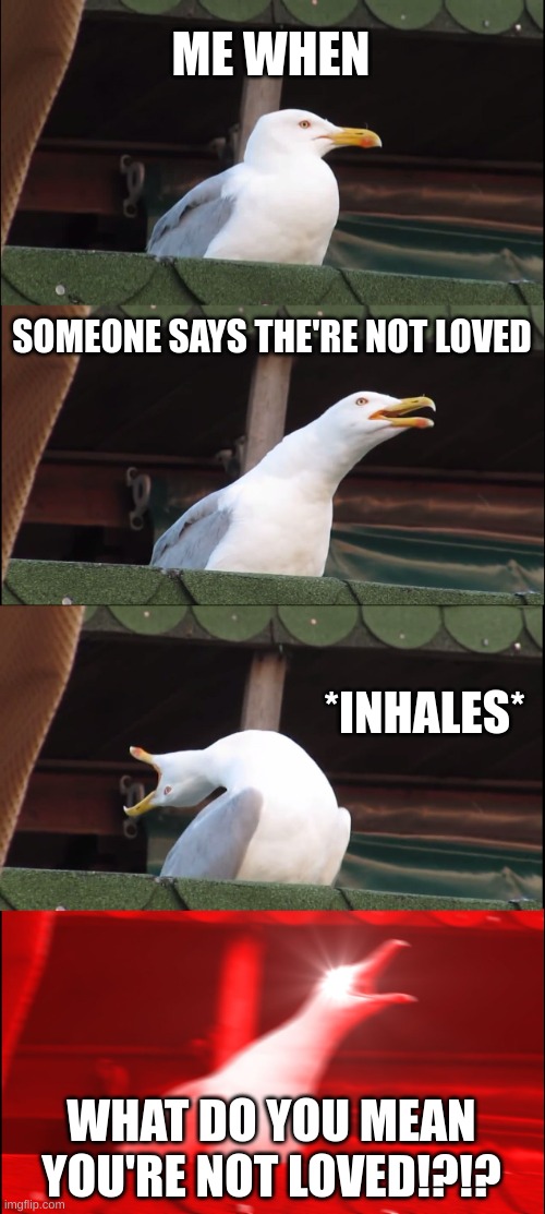 Inhaling Seagull | ME WHEN; SOMEONE SAYS THE'RE NOT LOVED; *INHALES*; WHAT DO YOU MEAN YOU'RE NOT LOVED!?!? | image tagged in memes,inhaling seagull | made w/ Imgflip meme maker