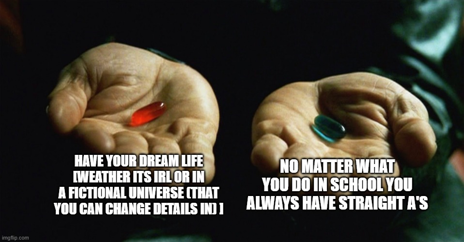 Red pill blue pill | HAVE YOUR DREAM LIFE [WEATHER ITS IRL OR IN A FICTIONAL UNIVERSE (THAT YOU CAN CHANGE DETAILS IN) ]; NO MATTER WHAT YOU DO IN SCHOOL YOU ALWAYS HAVE STRAIGHT A'S | image tagged in red pill blue pill | made w/ Imgflip meme maker