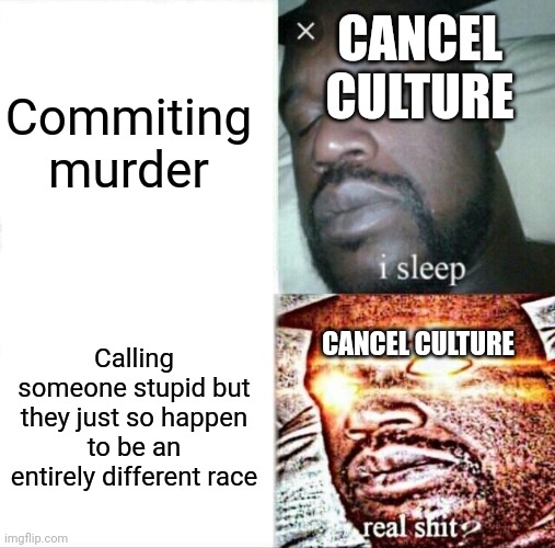 Cancel Culture in a Nutshell | Commiting murder; CANCEL CULTURE; CANCEL CULTURE; Calling someone stupid but they just so happen to be an entirely different race | image tagged in memes,sleeping shaq | made w/ Imgflip meme maker