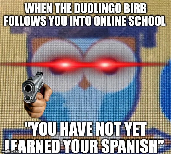 We are all doomed | WHEN THE DUOLINGO BIRB FOLLOWS YOU INTO ONLINE SCHOOL; "YOU HAVE NOT YET LEARNED YOUR SPANISH" | image tagged in duolingo | made w/ Imgflip meme maker