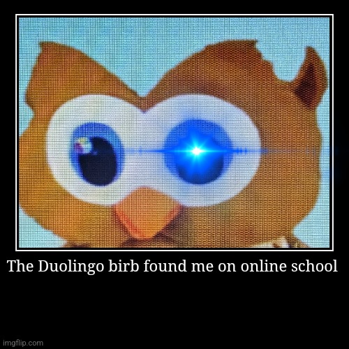 The Duolingo birb found me on online school | | image tagged in funny,demotivationals,duolingo | made w/ Imgflip demotivational maker