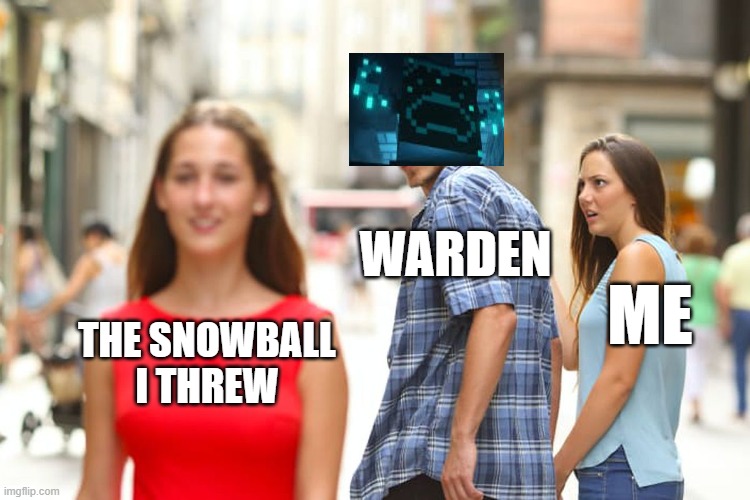 Distracted Boyfriend | WARDEN; ME; THE SNOWBALL
I THREW | image tagged in memes,distracted boyfriend | made w/ Imgflip meme maker