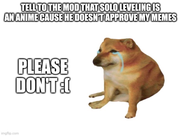 TELL TO THE MOD THAT SOLO LEVELING IS AN ANIME CAUSE HE DOESN'T APPROVE MY MEMES; PLEASE DON'T :( | image tagged in mods | made w/ Imgflip meme maker