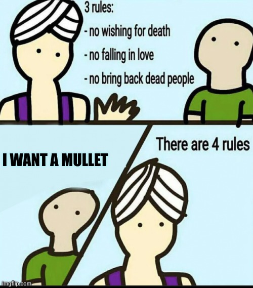 He wants a mullet | I WANT A MULLET | image tagged in 3 rules | made w/ Imgflip meme maker