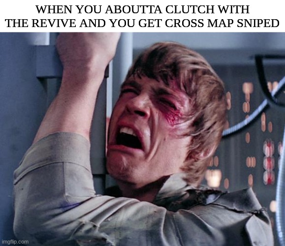 OMG its soooo annoying | WHEN YOU ABOUTTA CLUTCH WITH THE REVIVE AND YOU GET CROSS MAP SNIPED | image tagged in luke nooooo,gaming,videogames | made w/ Imgflip meme maker