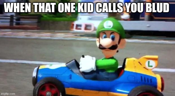 Its so annoying | WHEN THAT ONE KID CALLS YOU BLUD | image tagged in luigi death stare | made w/ Imgflip meme maker
