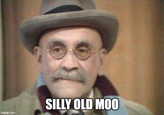 Alf Garnett | SILLY OLD MOO | image tagged in alf garnett | made w/ Imgflip meme maker