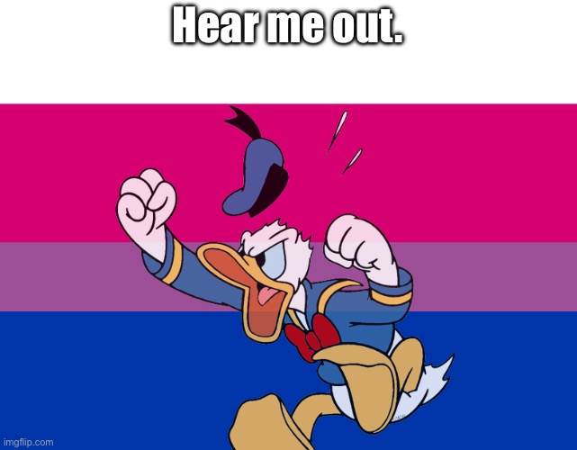 Donald the bi-con | Hear me out. | image tagged in bi flag | made w/ Imgflip meme maker