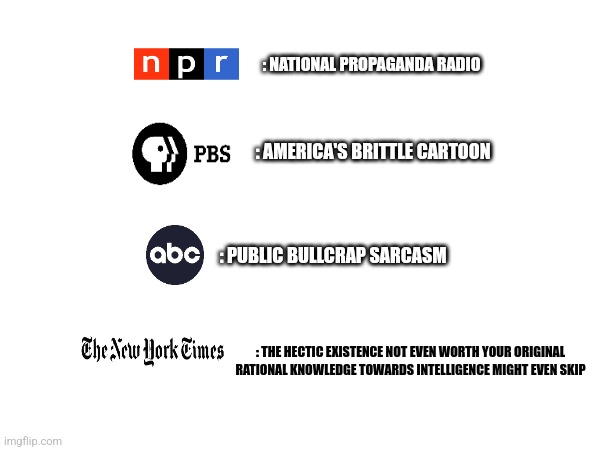 Making fun of Political News Sources by what they stand for (Error: PBS and ABC are switched) | : NATIONAL PROPAGANDA RADIO; : AMERICA'S BRITTLE CARTOON; : PUBLIC BULLCRAP SARCASM; : THE HECTIC EXISTENCE NOT EVEN WORTH YOUR ORIGINAL RATIONAL KNOWLEDGE TOWARDS INTELLIGENCE MIGHT EVEN SKIP | image tagged in memes,npr,pbs,abc,new york times,fake news | made w/ Imgflip meme maker