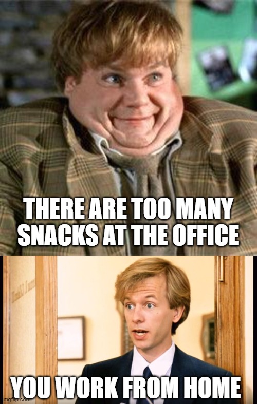 WFH | THERE ARE TOO MANY SNACKS AT THE OFFICE; YOU WORK FROM HOME | image tagged in tommy boy,david spade | made w/ Imgflip meme maker