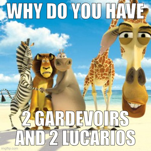 why are you white | WHY DO YOU HAVE 2 GARDEVOIRS AND 2 LUCARIOS | image tagged in why are you white | made w/ Imgflip meme maker