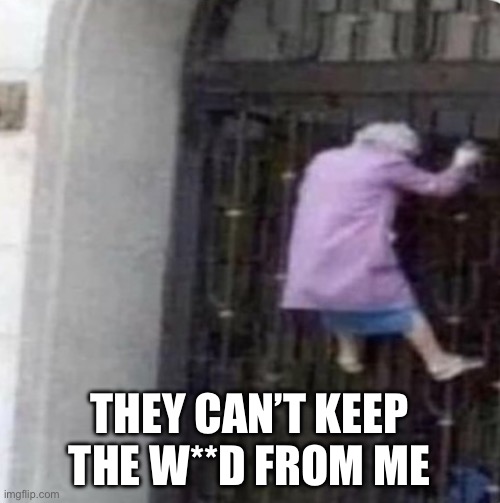 Funny | THEY CAN’T KEEP THE W**D FROM ME | image tagged in grandma on a fence,funny,yes,to funny | made w/ Imgflip meme maker