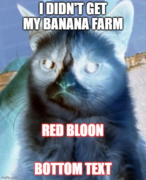 No banana farm for u, cat | I DIDN'T GET MY BANANA FARM; RED BLOON; BOTTOM TEXT | image tagged in memes,grumpy cat | made w/ Imgflip meme maker
