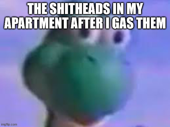 Yoshi | THE SHITHEADS IN MY APARTMENT AFTER I GAS THEM | image tagged in yoshi | made w/ Imgflip meme maker