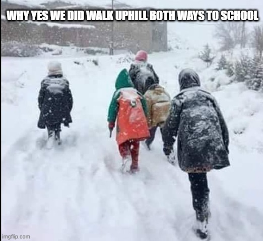 uphill both ways | WHY YES WE DID WALK UPHILL BOTH WAYS TO SCHOOL | image tagged in lisa payne,new jersey memory page | made w/ Imgflip meme maker