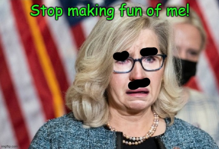 Liz Cheney | Stop making fun of me! | image tagged in liz cheney | made w/ Imgflip meme maker