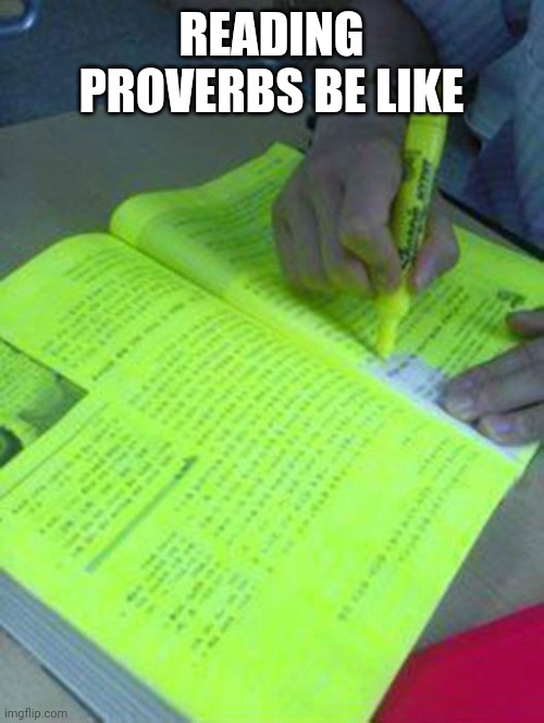 Highlighted text meme | READING PROVERBS BE LIKE | image tagged in highlighted text meme | made w/ Imgflip meme maker