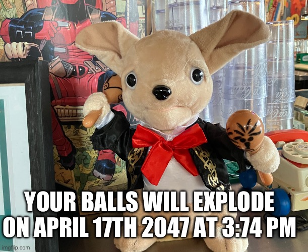 Best of luck | YOUR BALLS WILL EXPLODE ON APRIL 17TH 2047 AT 3:74 PM | image tagged in stressed chuiwawa | made w/ Imgflip meme maker