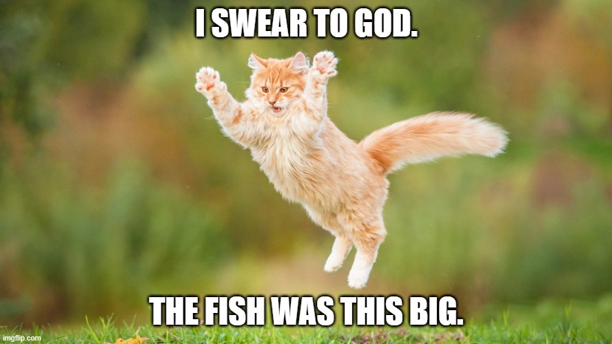 meme by Brad cat talking about a fish | I SWEAR TO GOD. THE FISH WAS THIS BIG. | image tagged in cats,cat,funny cats,funny cat memes,humor,funny | made w/ Imgflip meme maker