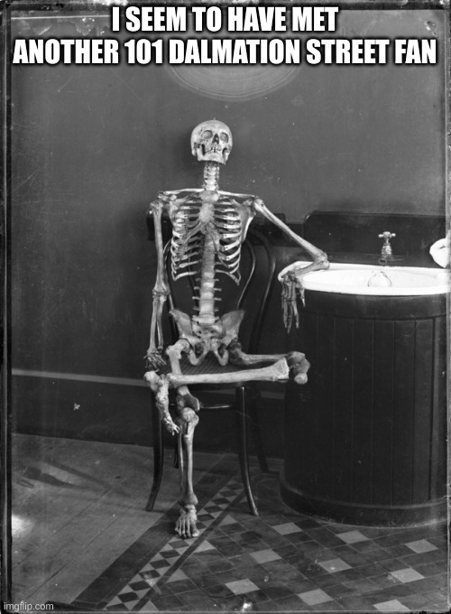 Skeleton Sitting In Chair | I SEEM TO HAVE MET ANOTHER 101 DALMATION STREET FAN | image tagged in skeleton sitting in chair | made w/ Imgflip meme maker