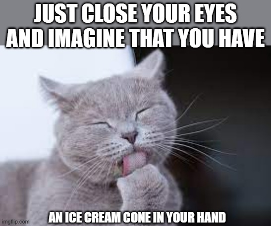 meme by Brad cat with ice cream cone | JUST CLOSE YOUR EYES AND IMAGINE THAT YOU HAVE; AN ICE CREAM CONE IN YOUR HAND | image tagged in cats,cat,cat meme,funny cat memes,humor,funny | made w/ Imgflip meme maker