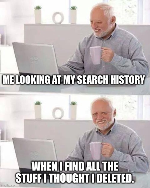 search history | ME LOOKING AT MY SEARCH HISTORY; WHEN I FIND ALL THE STUFF I THOUGHT I DELETED. | image tagged in memes,hide the pain harold | made w/ Imgflip meme maker