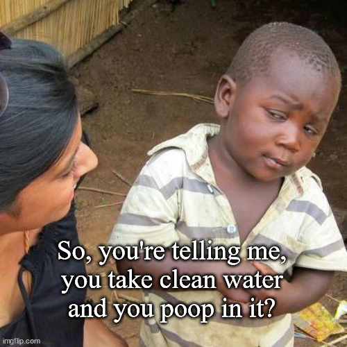 you do what? | So, you're telling me,
you take clean water
and you poop in it? | image tagged in memes,third world skeptical kid | made w/ Imgflip meme maker