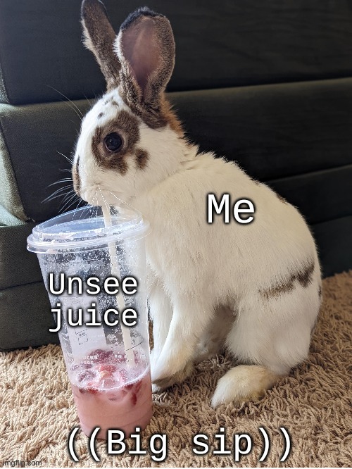 Made a rabbit version of the "Unsee juice" meme! | image tagged in rabbit unsee juice,unsee juice,rabbit,new template | made w/ Imgflip meme maker