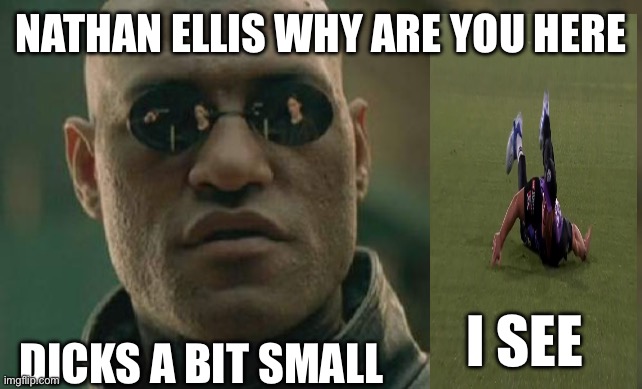 Flopper Ellis | NATHAN ELLIS WHY ARE YOU HERE; DICKS A BIT SMALL; I SEE | image tagged in memes | made w/ Imgflip meme maker
