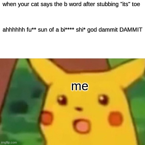 dark | when your cat says the b word after stubbing "its" toe; ahhhhhh fu** sun of a bi**** shi* god dammit DAMMIT; me | image tagged in memes,surprised pikachu | made w/ Imgflip meme maker