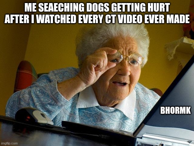 bhorkmk | ME SEAECHING DOGS GETTING HURT AFTER I WATCHED EVERY CT VIDEO EVER MADE; BHORMK | image tagged in memes,grandma finds the internet | made w/ Imgflip meme maker