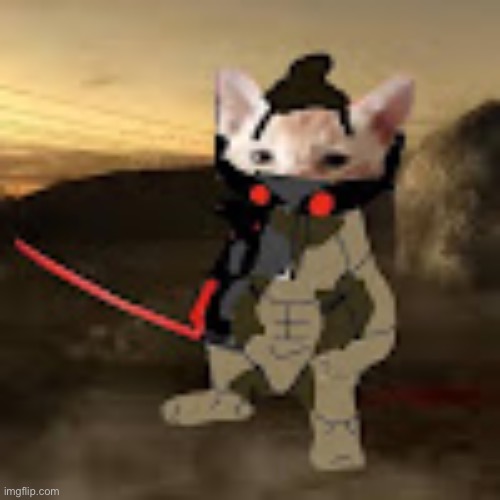 catstream sam | image tagged in catstream sam | made w/ Imgflip meme maker