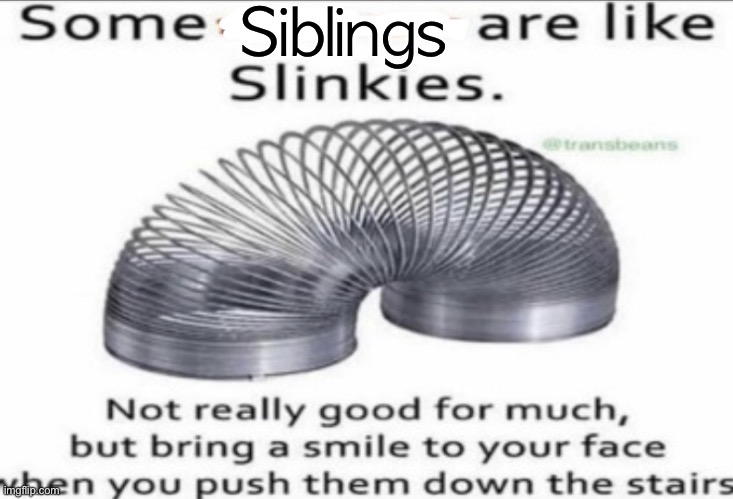 Some _ are like slinkies | Siblings | image tagged in some _ are like slinkies | made w/ Imgflip meme maker