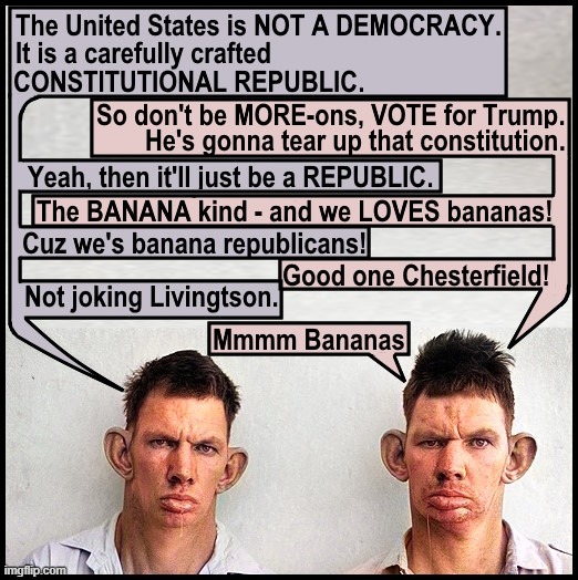 The Whole Voting Thing is a Clue. It Is A Democracy. For Now. Let's Keep It That Way. | image tagged in democracy,constitutional republic,trump,banana republicans,trump fascist,maga | made w/ Imgflip meme maker