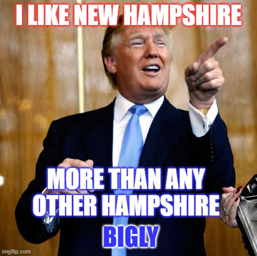 Trump Likes The Shire | I LIKE NEW HAMPSHIRE; MORE THAN ANY OTHER HAMPSHIRE; BIGLY | image tagged in trump,new hampshire,bigly,2024,election 2024 | made w/ Imgflip meme maker