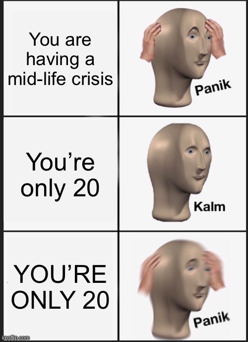 Mid-life crisis | You are having a mid-life crisis; You’re only 20; YOU’RE ONLY 20 | image tagged in memes,panik kalm panik | made w/ Imgflip meme maker