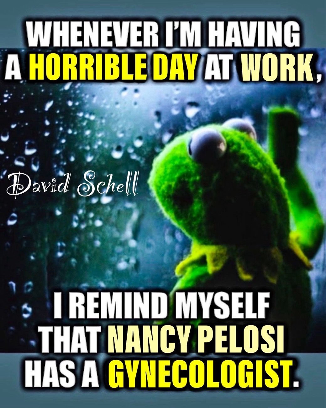David Schell Kermit Nancy Pelosi Blank Meme Template