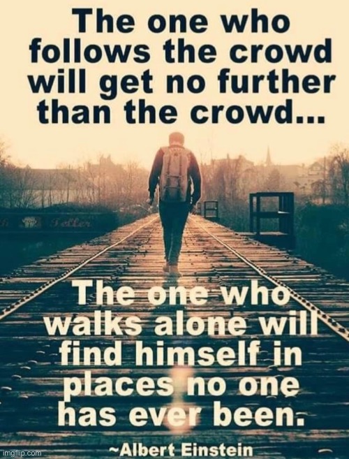 good quote | image tagged in good quote,albert einstein,meme,do not follow the crowd | made w/ Imgflip meme maker