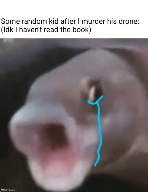 Crying poggers fish | Some random kid after I murder his drone:
(Idk I haven't read the book) | image tagged in crying poggers fish | made w/ Imgflip meme maker