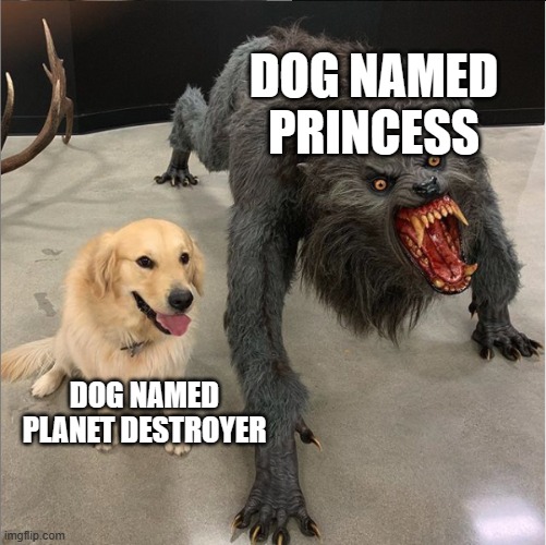 dogs | DOG NAMED PRINCESS; DOG NAMED PLANET DESTROYER | image tagged in dog vs werewolf | made w/ Imgflip meme maker