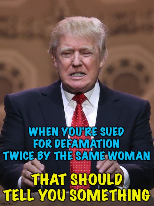 Like maybe keep your cake hole shut. | WHEN YOU'RE SUED FOR DEFAMATION TWICE BY THE SAME WOMAN; THAT SHOULD TELL YOU SOMETHING | image tagged in donald trump | made w/ Imgflip meme maker