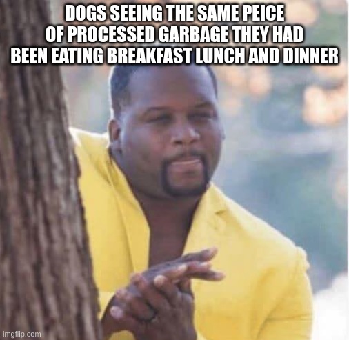 Dogs are better than cats | DOGS SEEING THE SAME PEICE OF PROCESSED GARBAGE THEY HAD BEEN EATING BREAKFAST LUNCH AND DINNER | image tagged in licking lips,meme | made w/ Imgflip meme maker