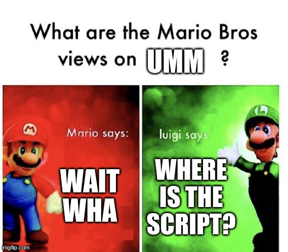 I forgot | UMM; WAIT WHA; WHERE IS THE SCRIPT? | image tagged in mario bros views | made w/ Imgflip meme maker