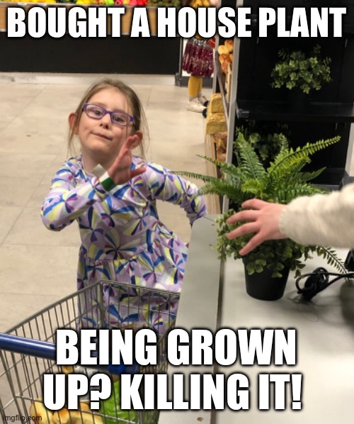 House plant | BOUGHT A HOUSE PLANT; BEING GROWN UP? KILLING IT! | image tagged in adulting | made w/ Imgflip meme maker