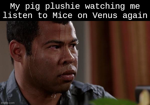 i'm gonna go cry into it | My pig plushie watching me listen to Mice on Venus again | image tagged in sweating bullets | made w/ Imgflip meme maker