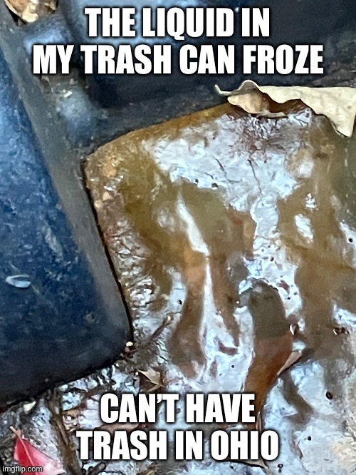No way | THE LIQUID IN MY TRASH CAN FROZE; CAN’T HAVE TRASH IN OHIO | image tagged in shit | made w/ Imgflip meme maker