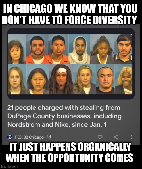 Representation matters | IN CHICAGO WE KNOW THAT YOU DON'T HAVE TO FORCE DIVERSITY; IT JUST HAPPENS ORGANICALLY WHEN THE OPPORTUNITY COMES | image tagged in 21 people charged with stealing | made w/ Imgflip meme maker