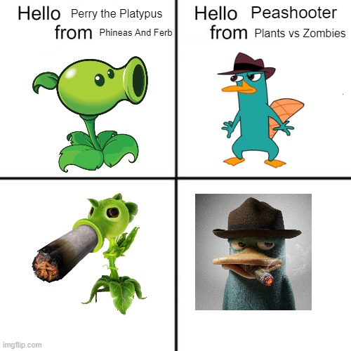 They like to smoke while of screen | Peashooter; Perry the Platypus; Phineas And Ferb; Plants vs Zombies | image tagged in hello person from | made w/ Imgflip meme maker